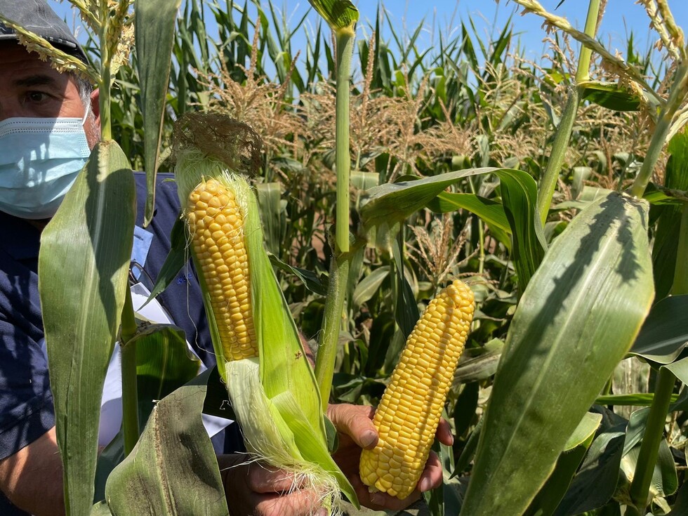 1654868561_9d547c6f976cf3fd4840e5783eaf2f0d.219064-2